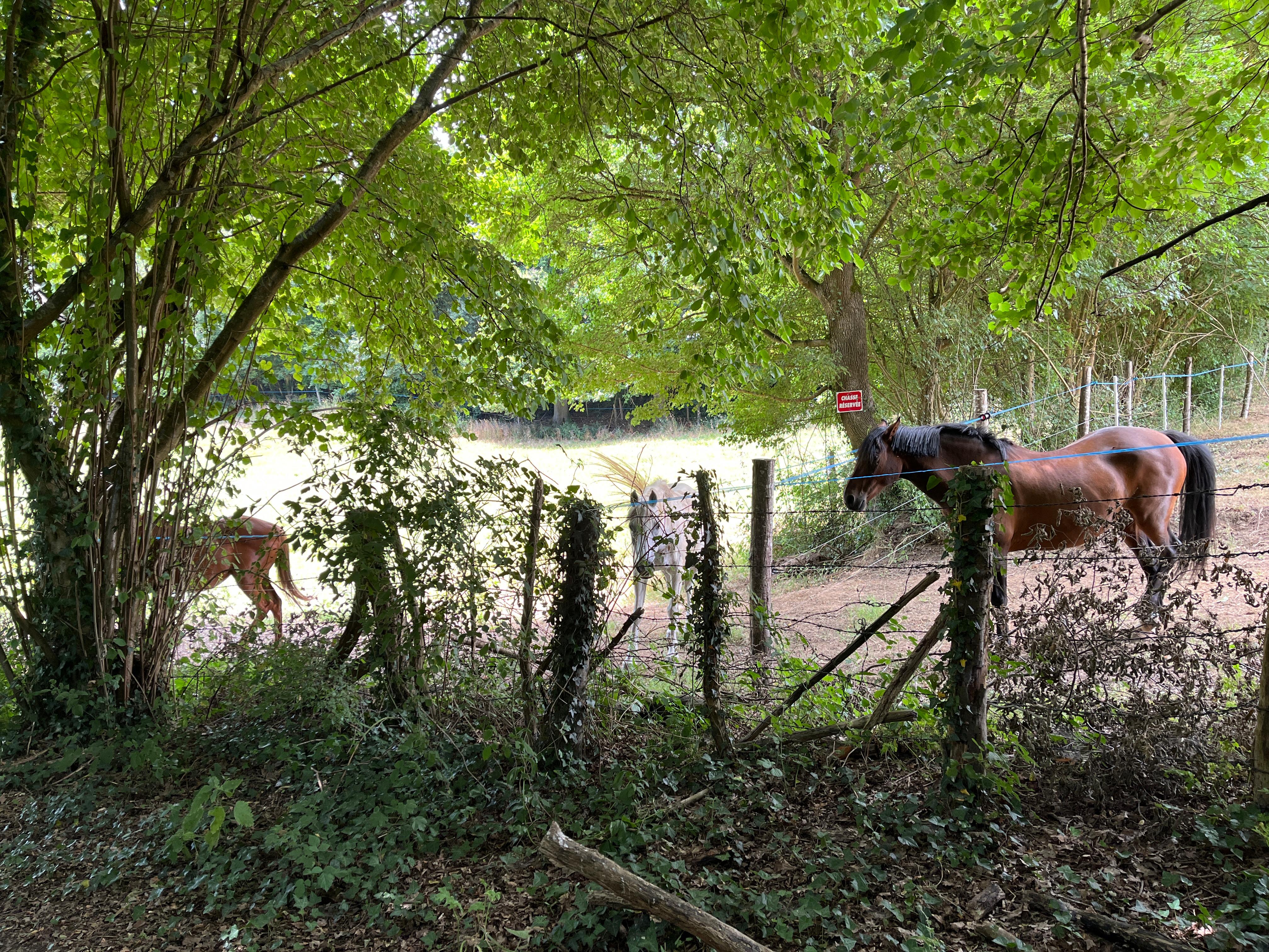 Chambres d'Hôtes Les Terrasses du Léard à Neuville-sur-Sarthe